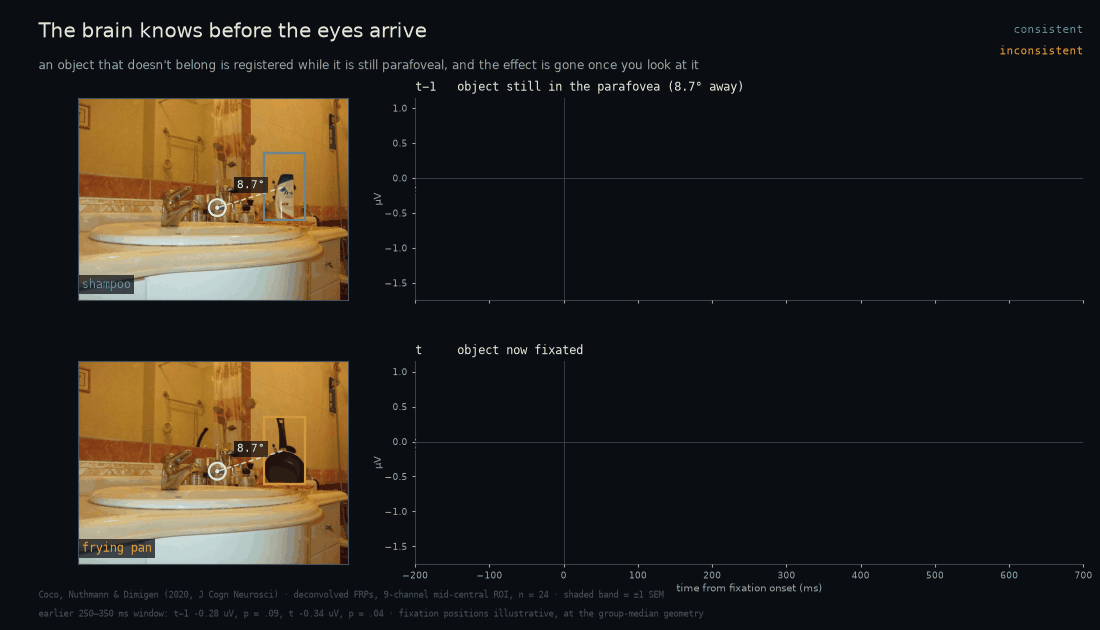 A bathroom scene shown twice, once with shampoo on the shelf and once with a frying pan in exactly the same place. On both, the same two-fixation eye movement plays: the eye first rests 8.7 degrees away, with a dashed line marking the distance to the object, then makes a saccade onto it. To the right, two fixation-related potential plots. At the pre-target fixation the consistent and inconsistent traces pull apart between 350 and 600 milliseconds and the gap between them is shaded; at the target fixation the same two traces stay together.