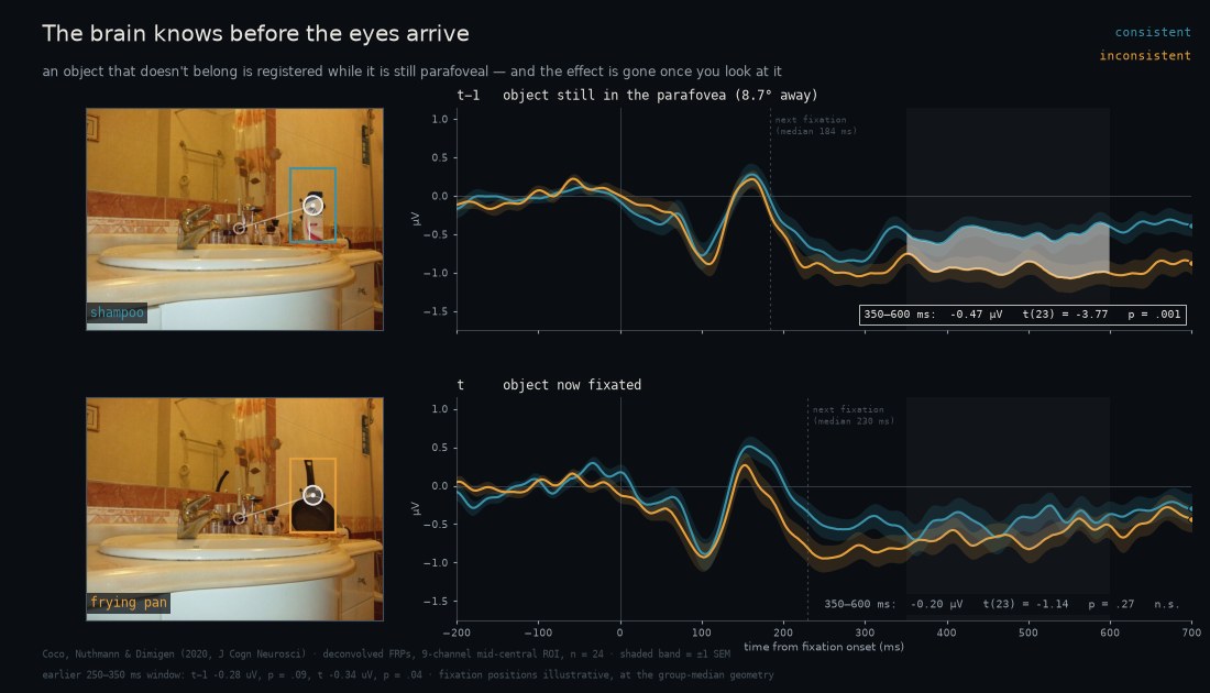 A bathroom scene shown twice, with shampoo and then a frying pan in the same place, beside two plots of the brain response at the fixation before the object and at the fixation on it