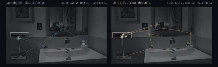 Two versions of the same bathroom scene with gaze markers on the object that differs between them